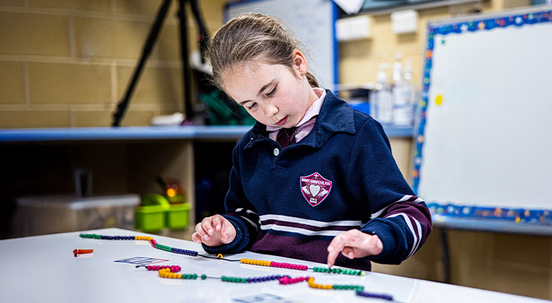 Student counting beans in the classroom at Mary Immaculate Primary School Quakers Hill