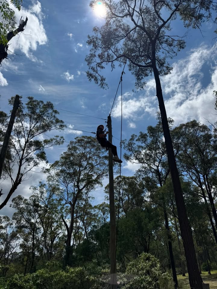 1170270138334232_1426062642754979-1