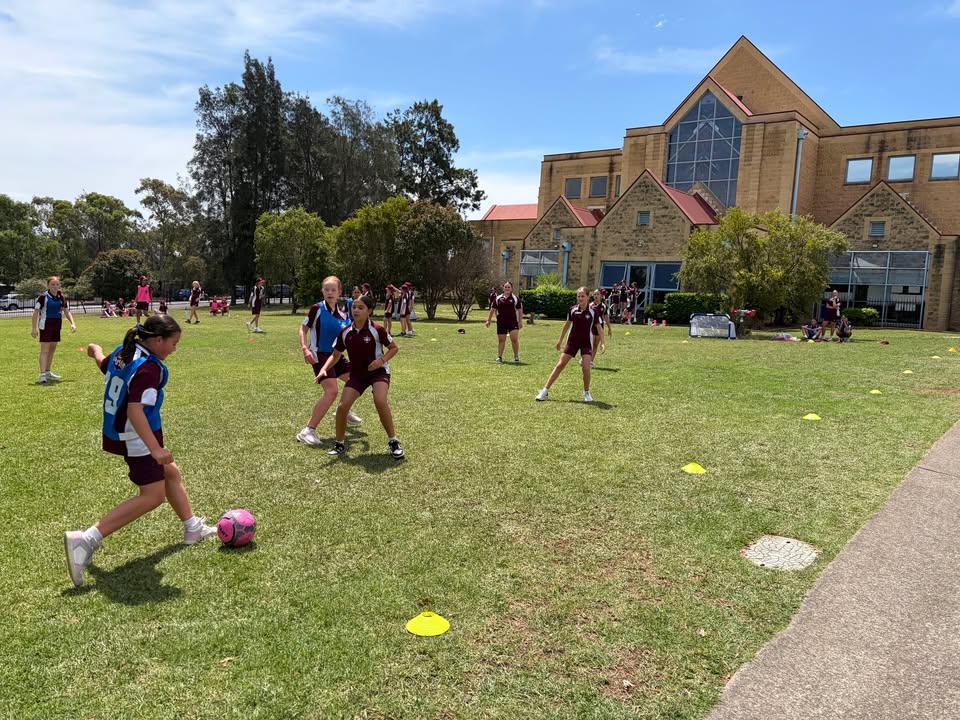 1170270138334232_1439249331436310-1