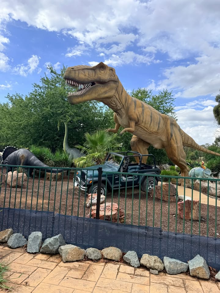 1170270138334232_1529590629068846-1